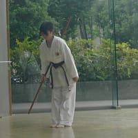 2016年8月28日(日)　東久留米市　プラザまつり