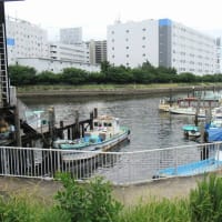 鮫洲入江広場公園のゆり園へ（東京・品川）