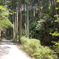 １ヵ月１０回ペースで、半年経過（760回目）