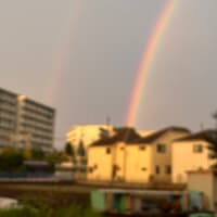 #燕雀安くんぞ鴻鵠の志を知らんや
