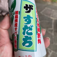 徳島旅行⑥家路へ