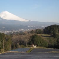 富士山に登るのは7月、8月にしよう
