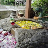 【　月初めの参拝　】廣田神社　青森県青森市