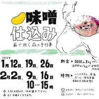 味噌仕込みワークショップ◯東京 森のテラス主催 2020年