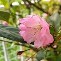 今だけ主人公