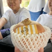 7年　校外学習～道の駅＆ハイウェイオアシスVER～