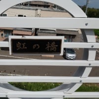 さっきぃツアー ワーキング編