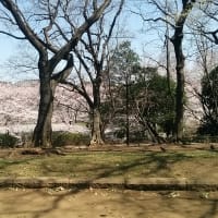 平成２６年度の締めくくりはこれ！