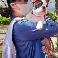 大好きだった公園