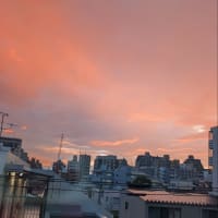 今日いち-2025年7月4日