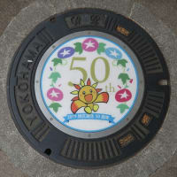 ステッカータイプは寿命が短くて残念【神奈川県・横浜市】