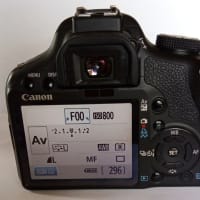 ヤフオクで、1500円のジャンクデジイチかいました。