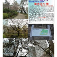 施設案内東京-543   清水谷公園