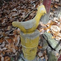 ２月の収穫～山編