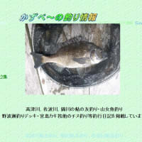 予告