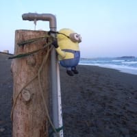 海岸