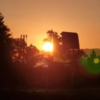 ９月　24日　の　占い