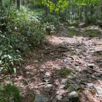 6.21流石山