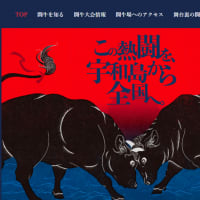 宇和島闘牛和霊大祭場所
