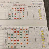 初版本】初段の心得 シマリとカカリの百科 九段 梶原武雄 現代