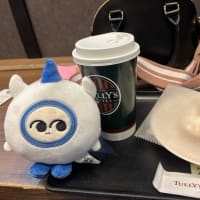 トニコン三昧