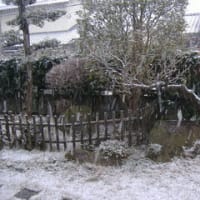 2009年1月1日朝の雪