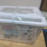 ９９日目　インコ用の天井を囲ったケージを買って来た！　これで安心