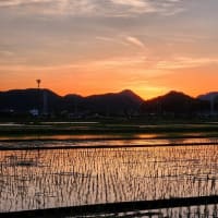 梅雨の夕空