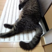 妖怪認定