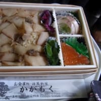 ◎白神山地旅行（まとめ） 2014年6月26～28日