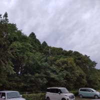 木々