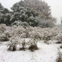 山沿いでは雪、と聞くと思い出す光景