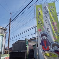 新茶、2種類出来ています