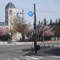 ヘルシーウォーキング㉖ in 春爛漫！小樽の街並みを一望する平磯・手宮公園ウォーク
