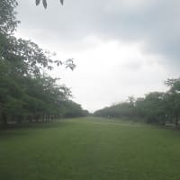 尾根緑道を散歩