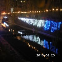 夜の眼鏡橋