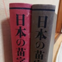 めちゃ久しぶりになりました