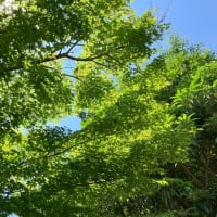 小学校へ