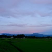 夏が来た！