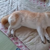 それぞれのお仕事…^^;