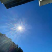 流れに抗って生きる