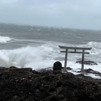 道の駅常総、那珂湊とサングリーン旭に行ってきました