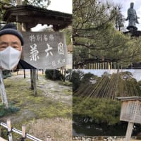 国内旅行の思い出を教えて