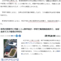 汗と冷房と熱中症と温暖化５／汗をかけないリスク②