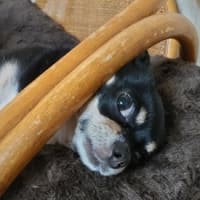 下手くそドライバー