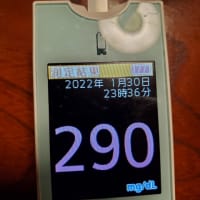 血糖値290