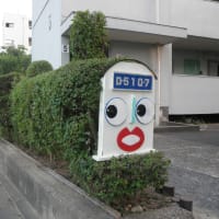 平成２４年のクジャクサボテン