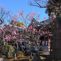 今年初投稿です