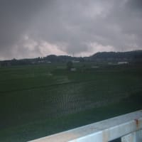 鬱陶しい梅雨もどりか今日も雨❕☂