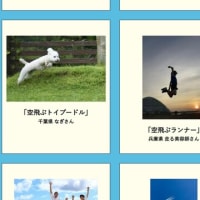 NHK朝ドラ「舞いあがれ！」にフライト写真を投稿した結果：ボツ？